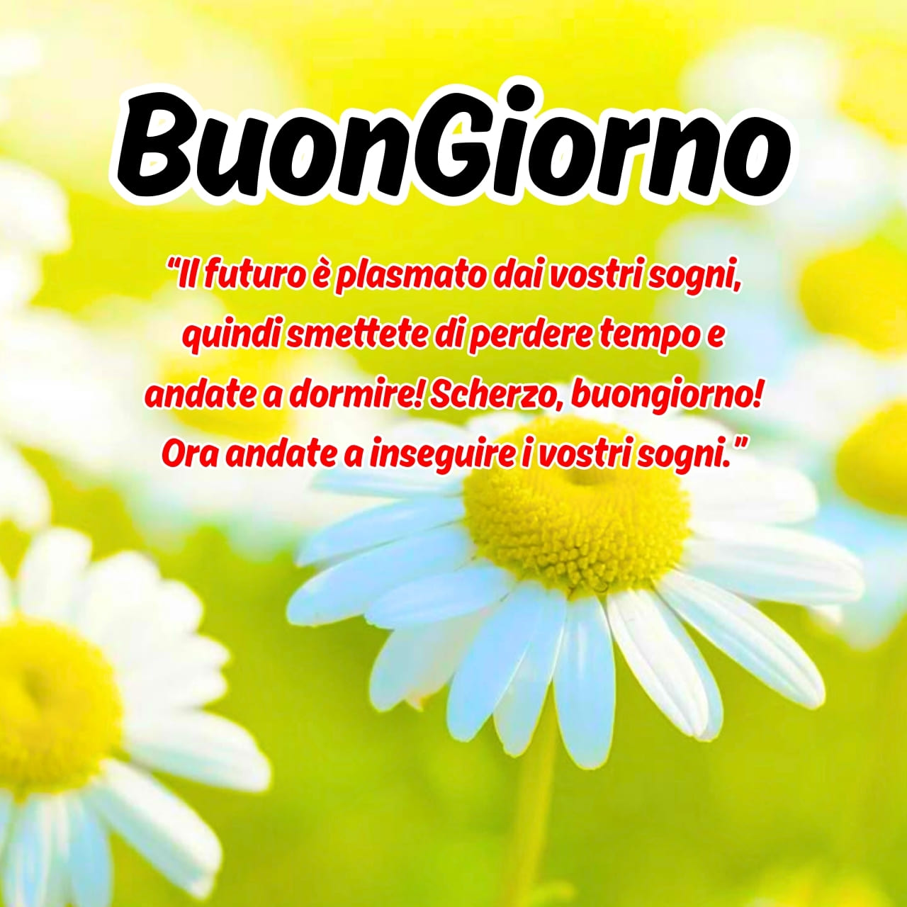 Ticondivido it Buongiorno Immagini, GIF, Frasi Gratis 2026